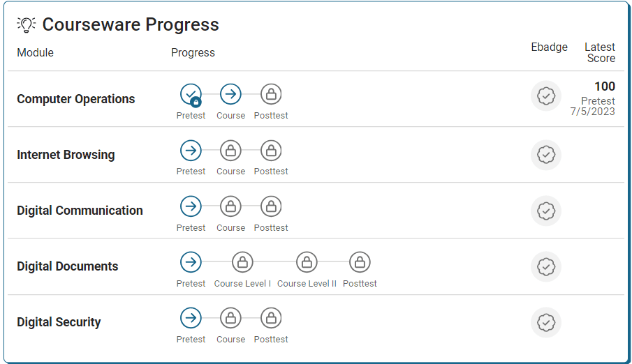 Digital Skills Courseware homepage showing all five modules